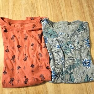 Aeropostale Men's Shirts Large